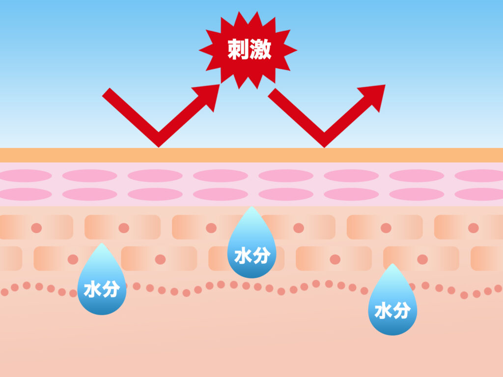 角質層のイメージ